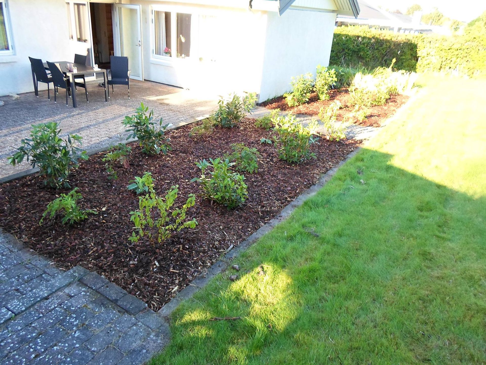 anlæg af græsplæne og planter