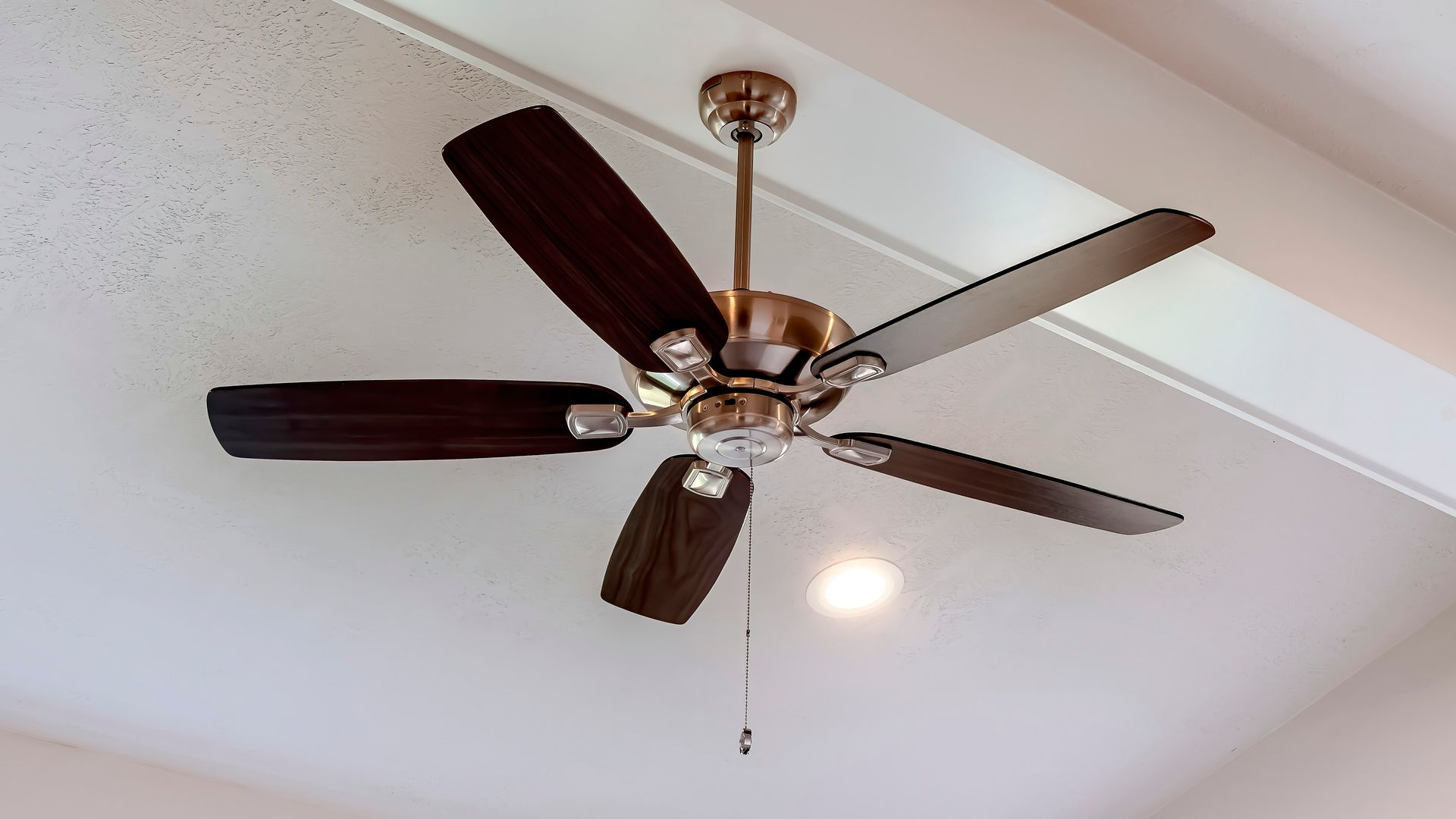 Modern ceiling fan with dark wood blades mounted on a white textured ceiling.