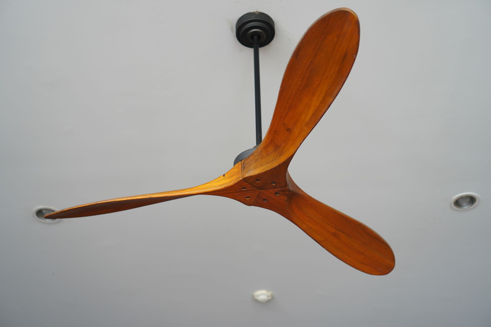 Wooden-blade ceiling fans with modern design mounted on a white ceiling in minimalist interior.