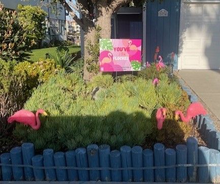 A front yard garden with a sign reading 