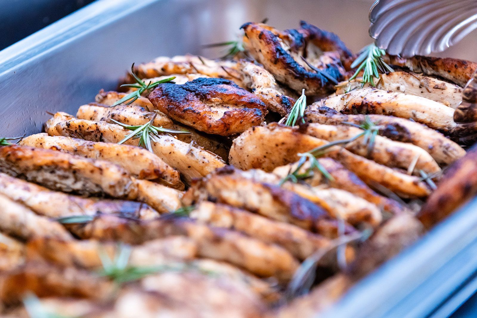 Grilled chicken breasts in a tray, garnished with rosemary and char marks