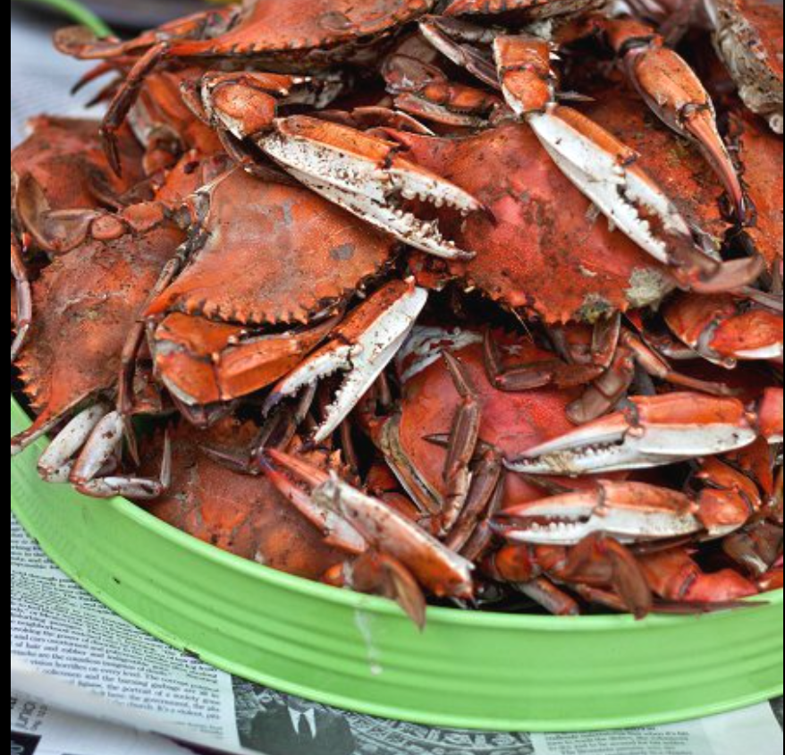 A green tray piled high with cooked red crabs on a table.
