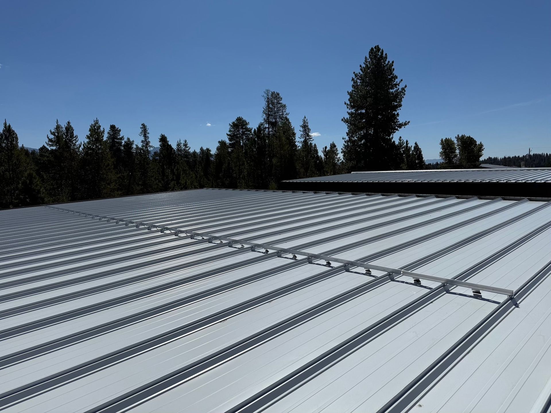 Solar panel array on a rooftop with pine trees and blue sky in the background
