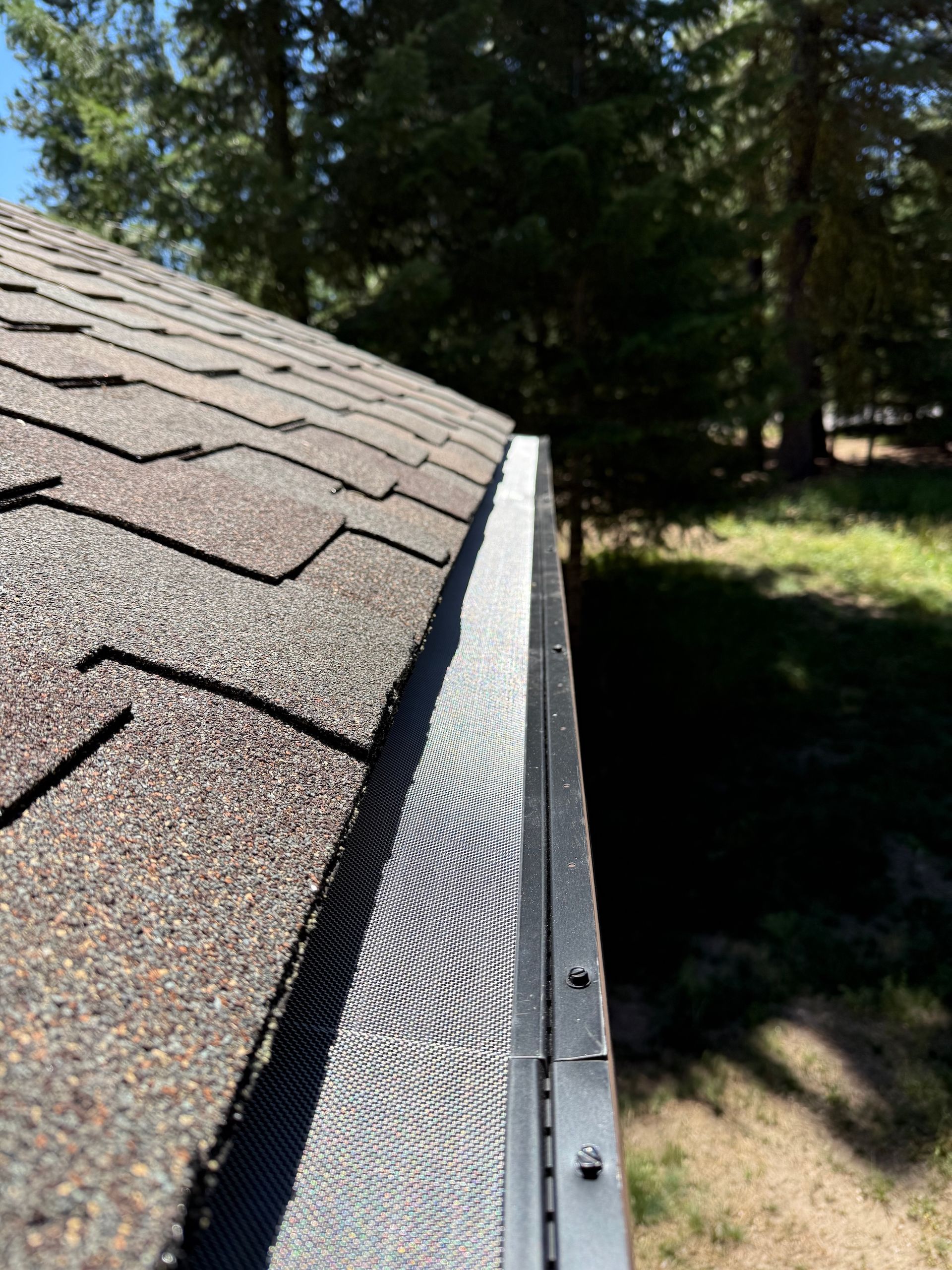 Close-up of a shingled roof with a metal gutter edge beside trees and sunlit yard