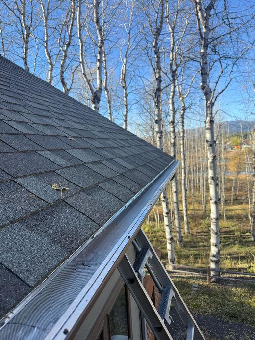 Steep shingled roof with a gutter beside leafless trees under a clear blue sky