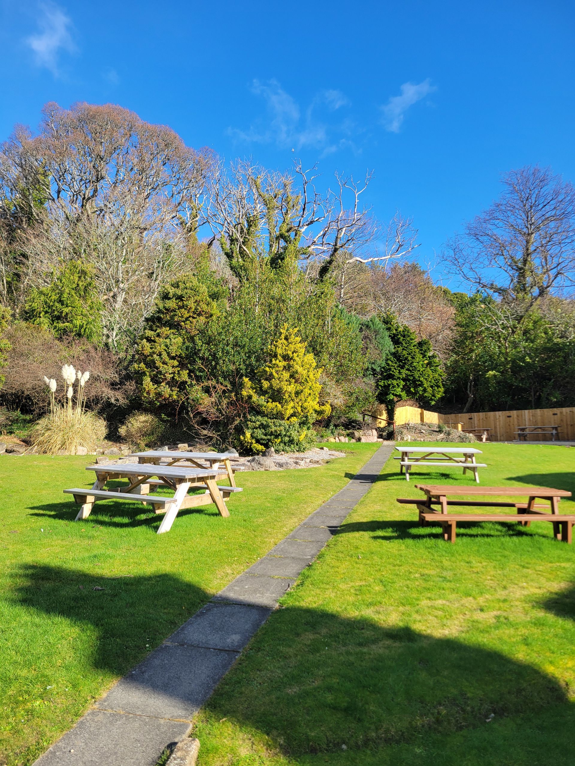 The rear gardens of the hotel featuring green grass, tall trees, a cement path and picnic tables