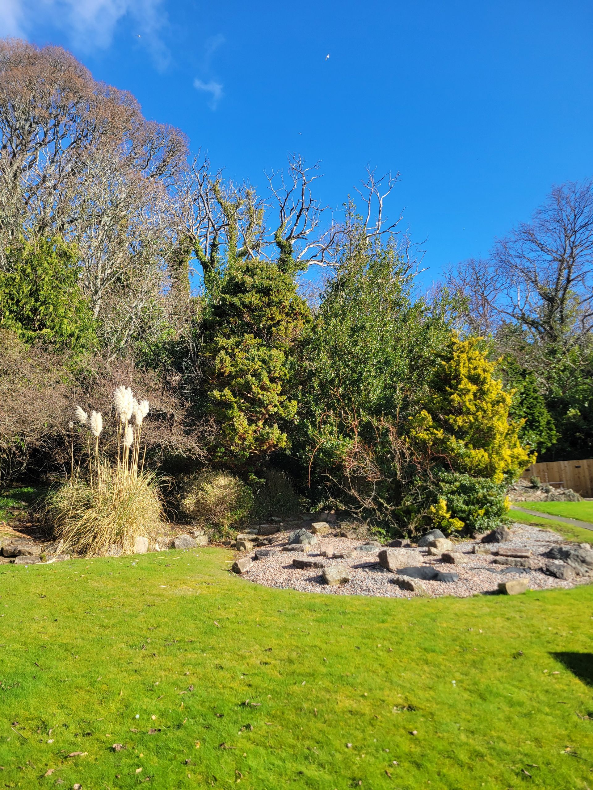 The hotel gardens with green grass, trees, and assorted plants