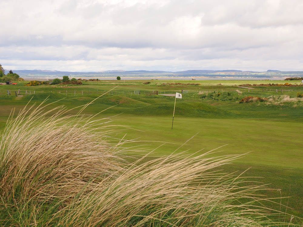 A golf course with tall grass blowing in the wind.