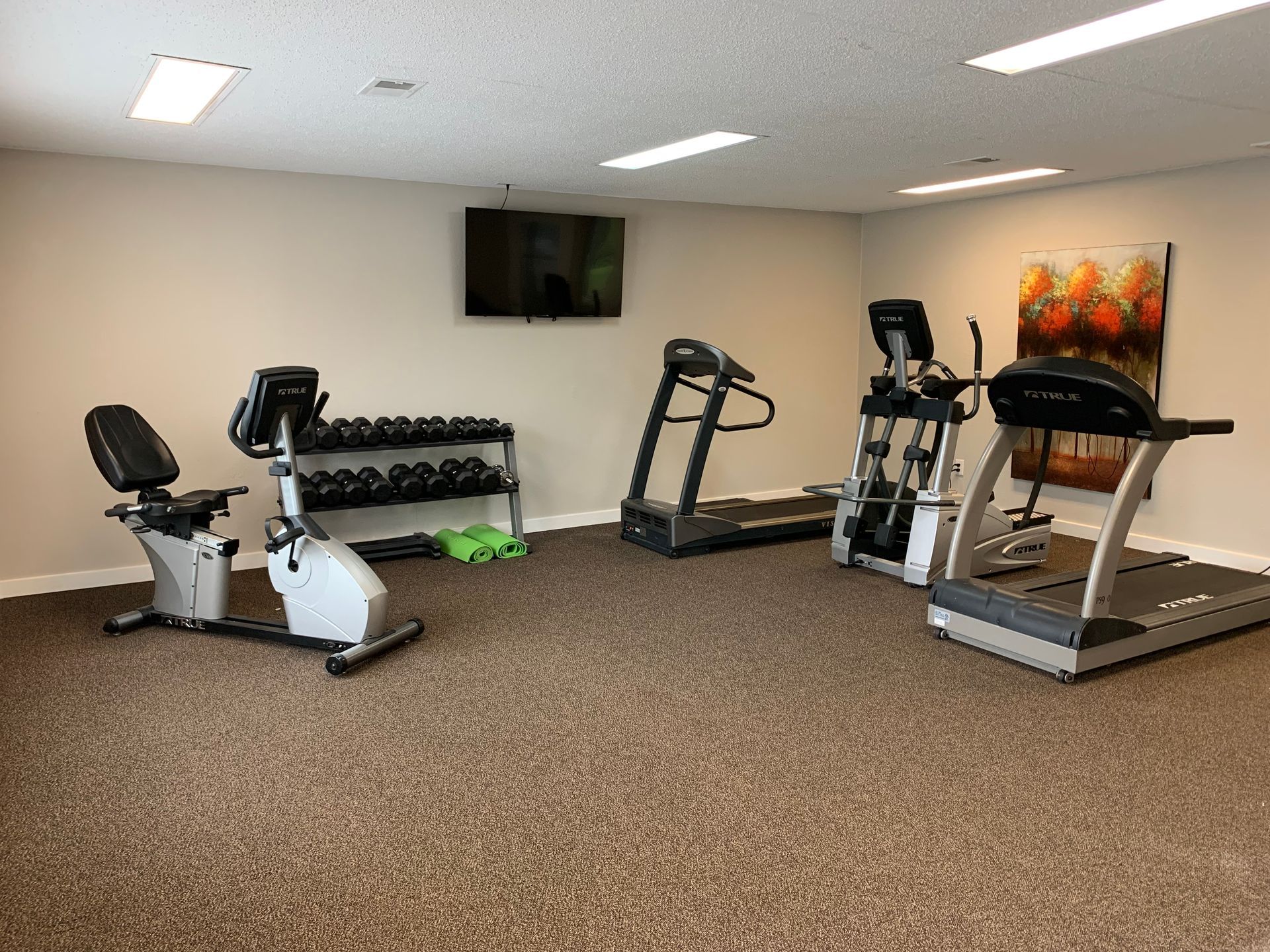 A gym with a treadmill , exercise bike , and dumbbell rack.