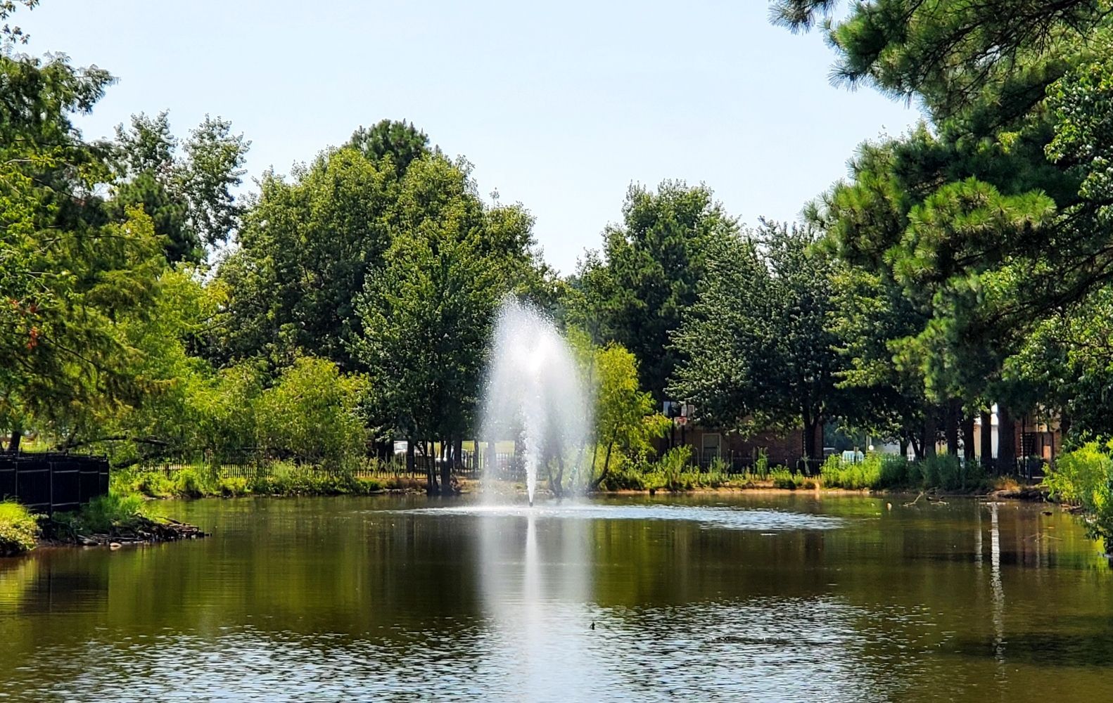A pond with a fountain in the middle of it