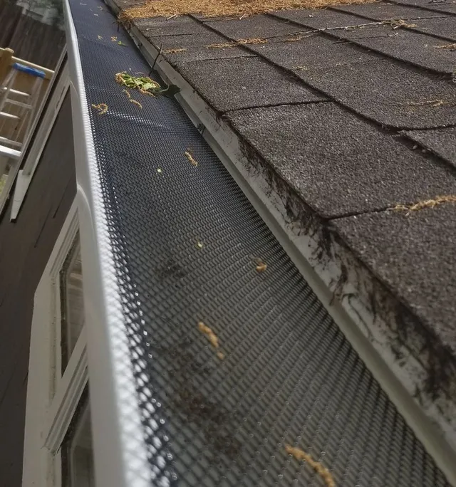 Gutters with mesh screen and debris on a shingled roof next to a window.