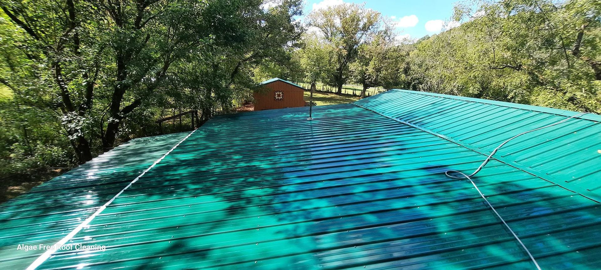 Roof Cleaning