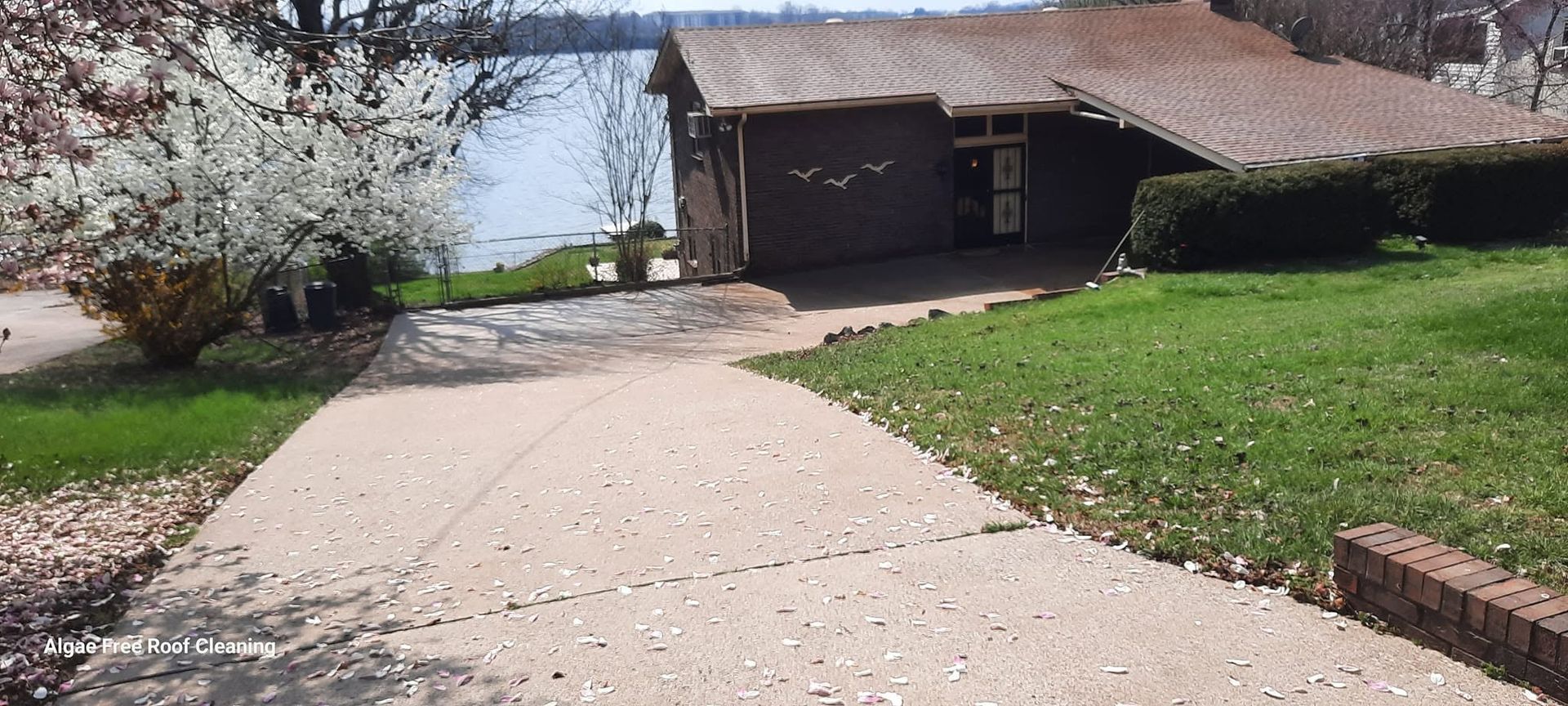 Driveway Cleaning