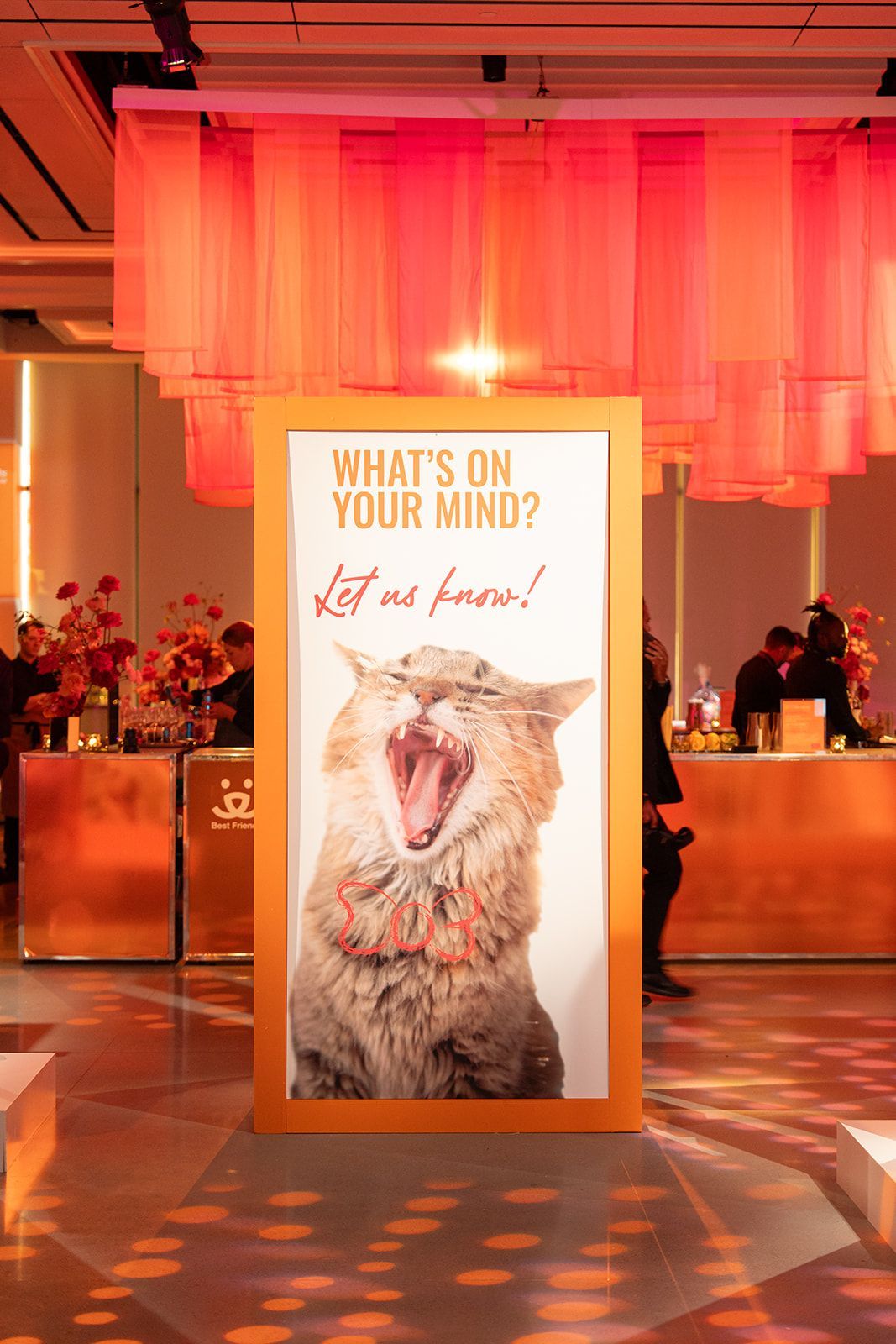 Poster: yawning cat with
