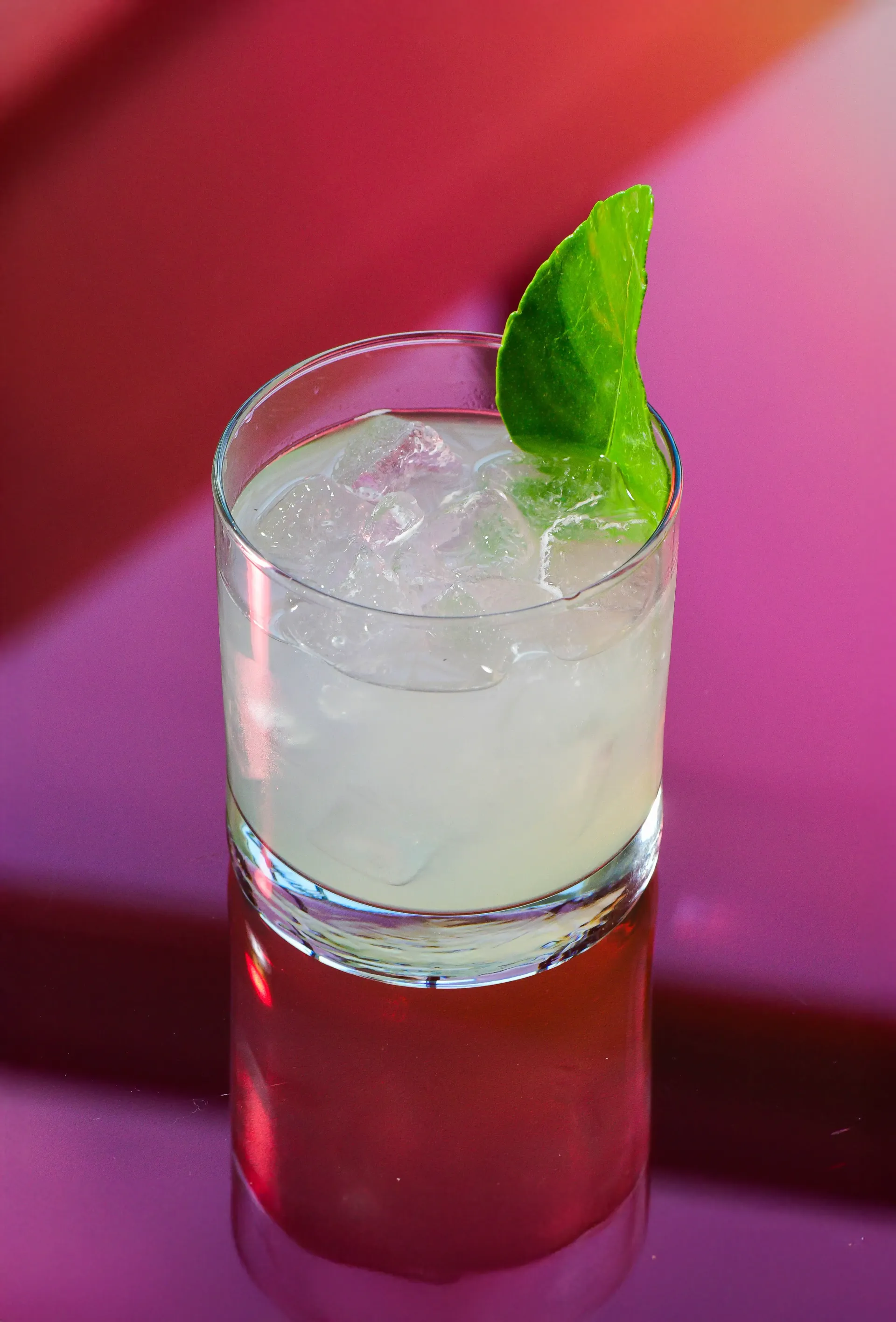 Two glasses of white liquid with ice and a green leaf on top