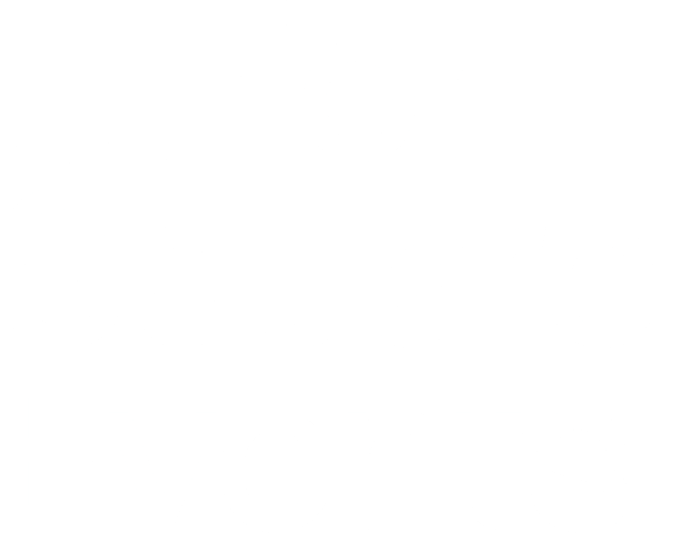 Logo del partner
