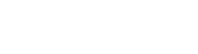 Logo del partner