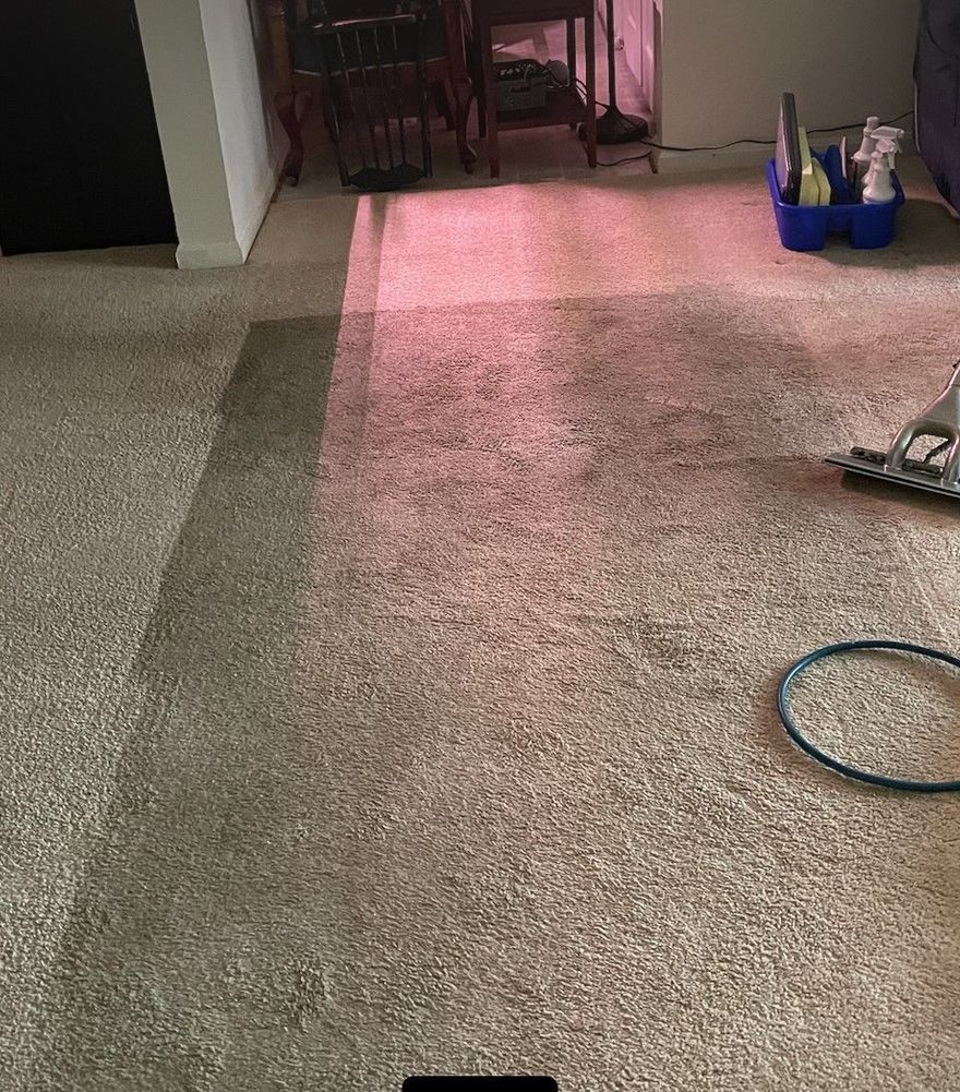 Carpeted hallway with pink light, a blue bucket of cleaning supplies, and a hose on the floor.