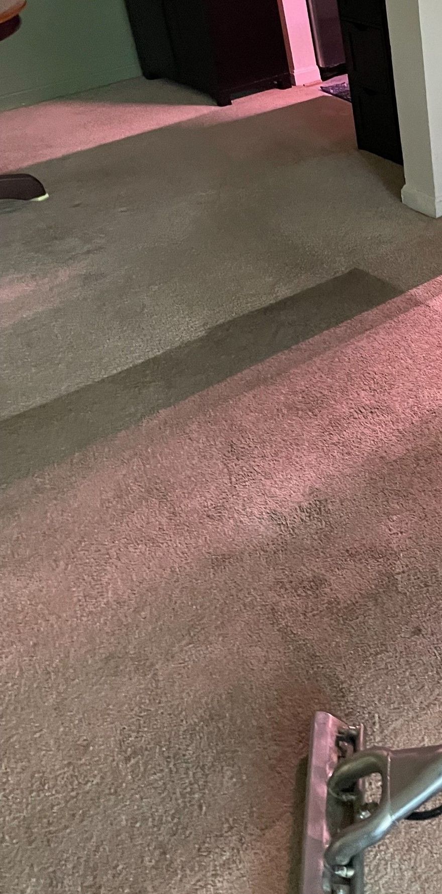 Pink-carpeted floor with a dark ramp or step and part of a metal handrail in the corner