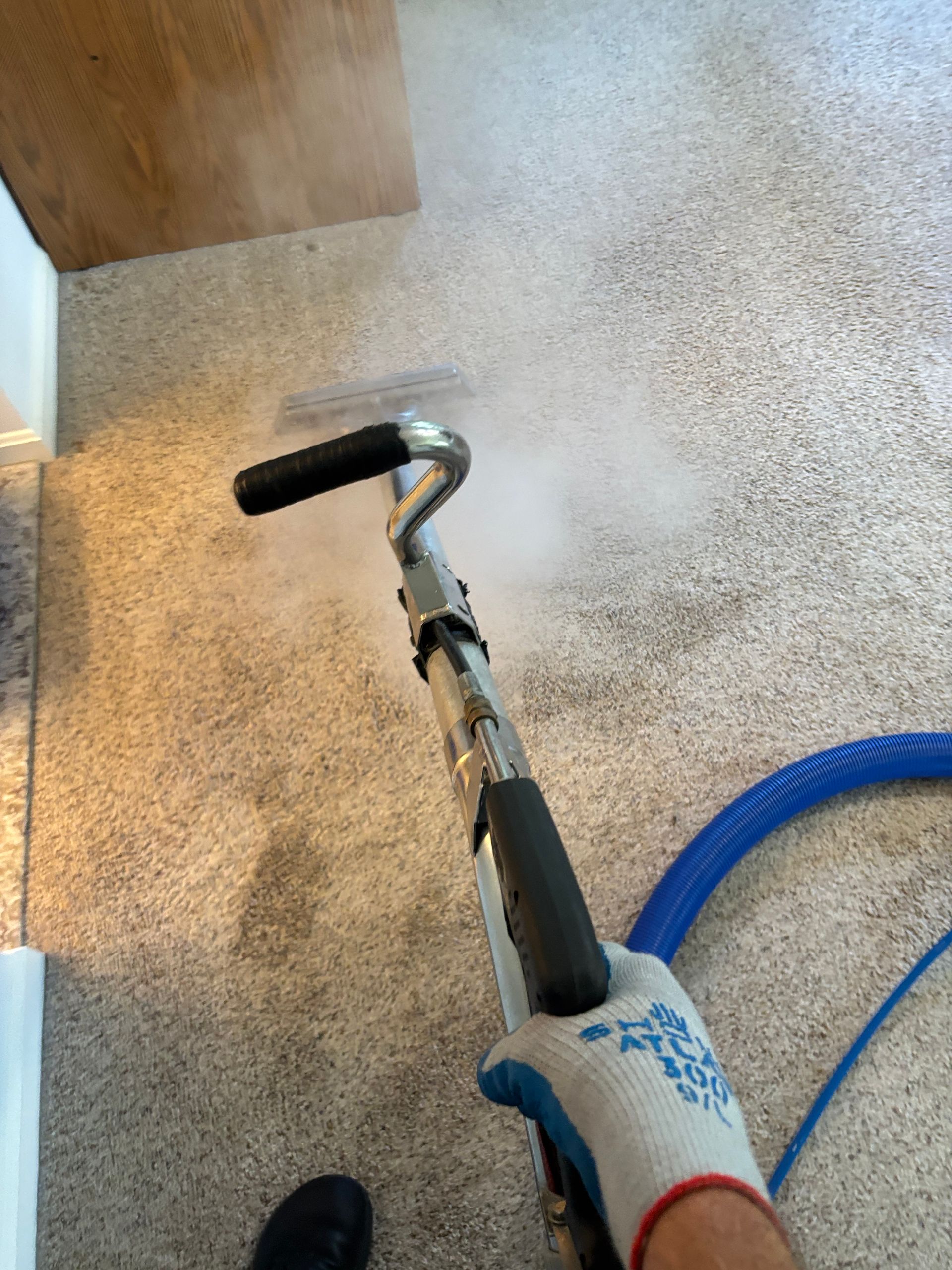 Person steam-cleaning beige carpet near a wooden table, with a blue hose attached to the tool