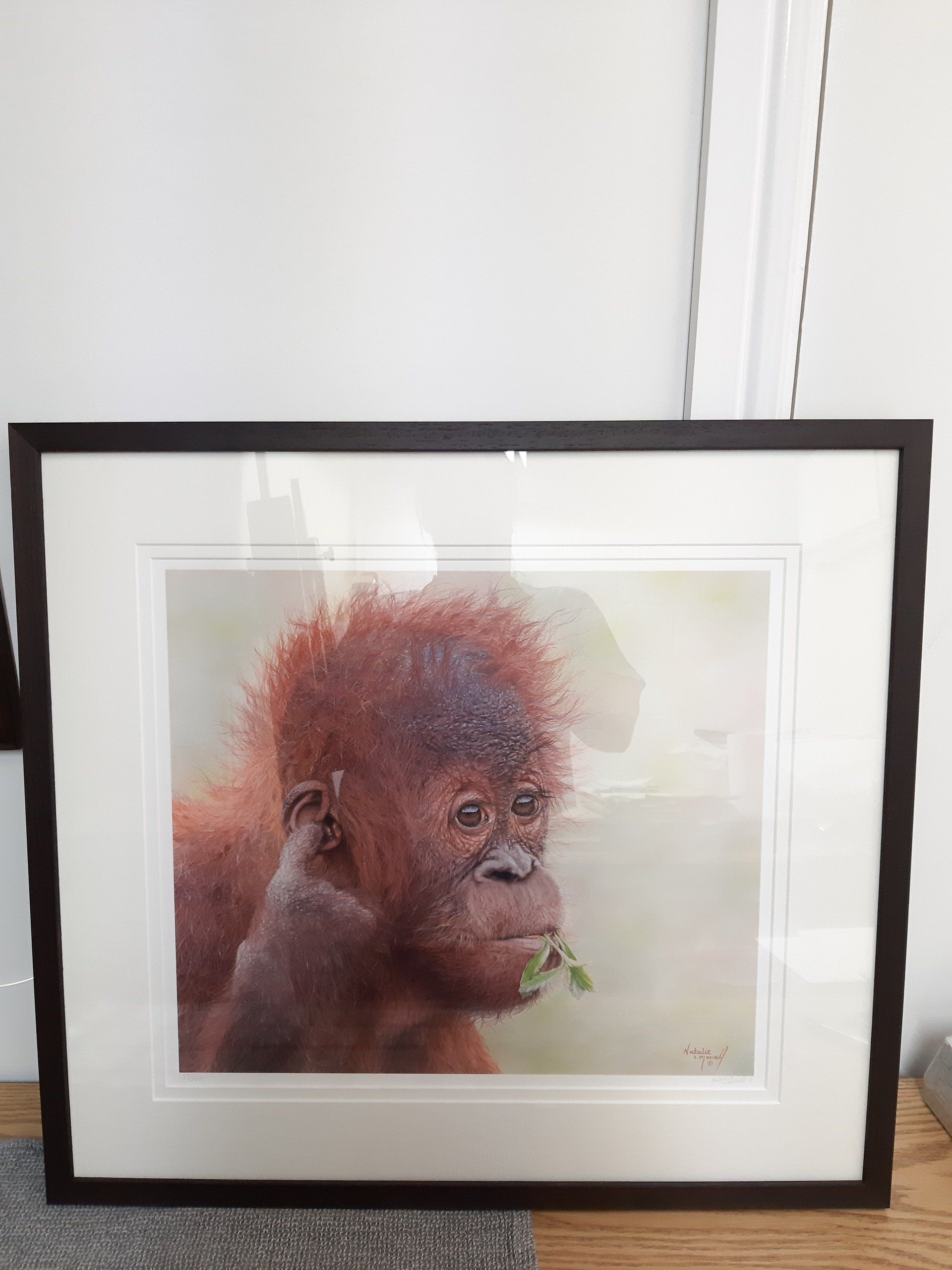 framing service available, people portraits welcome, portraits by Natalie Mascall, realistic portraits by award winning wildlife artist Natalie Mascall, they make special gifts, realistic pastel drawings of portraiture by Natalie Mascall,