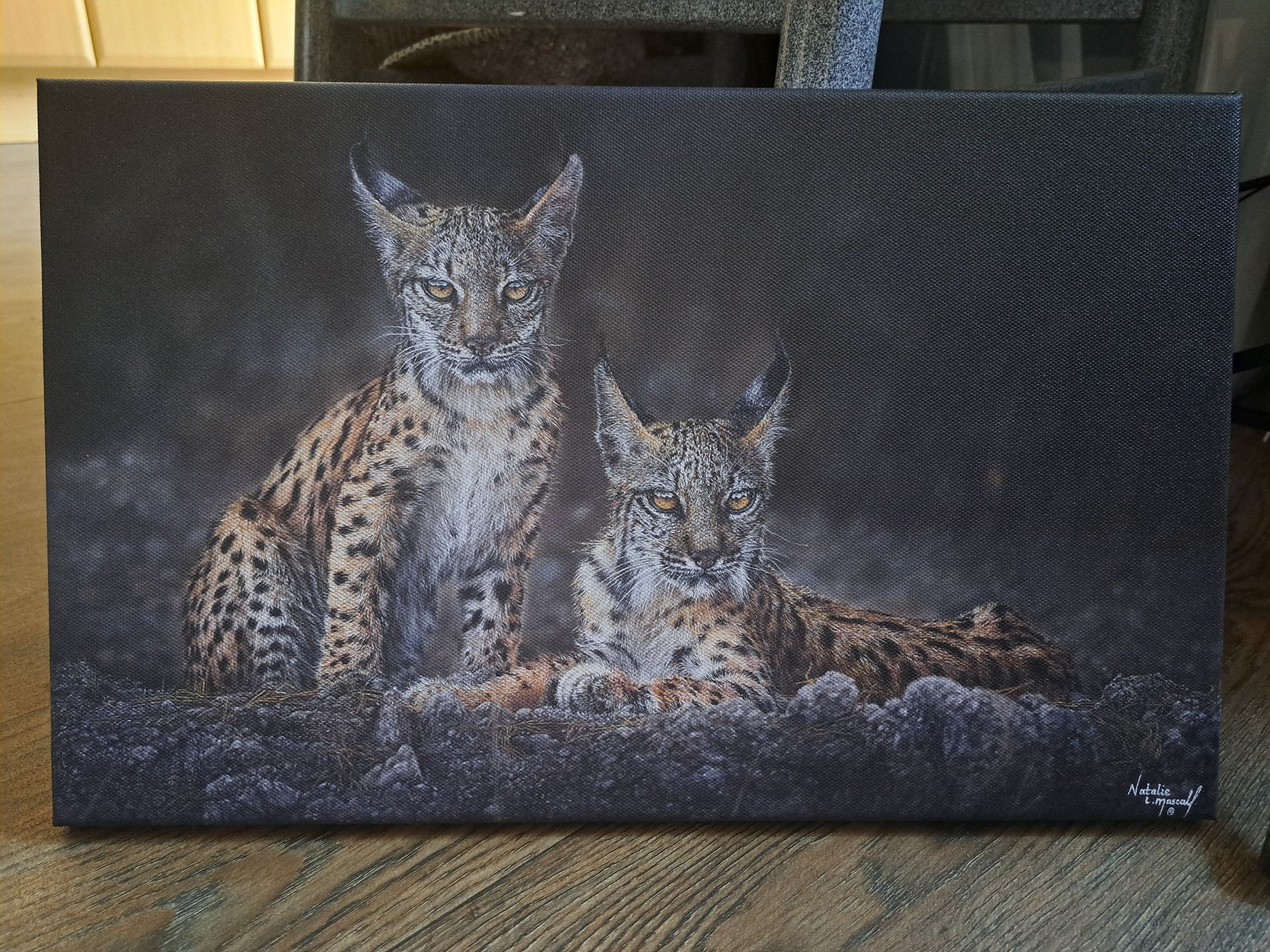 Iberian Lynx art, Iberian Lynx drawing printed to canvas, limited edition Iberian Lynx print, limited edition Iberian Lynx canvas print, only 50, rare cat art,