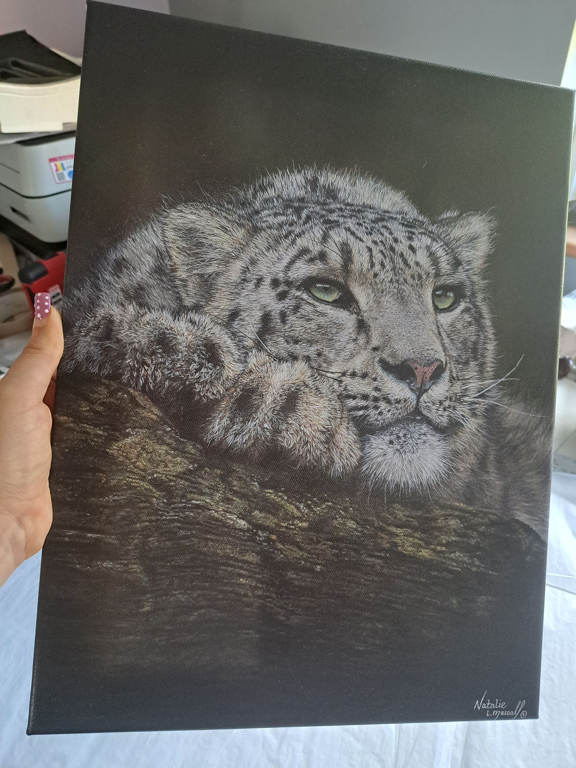 Iberian Lynx art, Iberian Lynx drawing printed to canvas, limited edition Iberian Lynx print, limited edition Iberian Lynx canvas print, only 50, rare cat art,