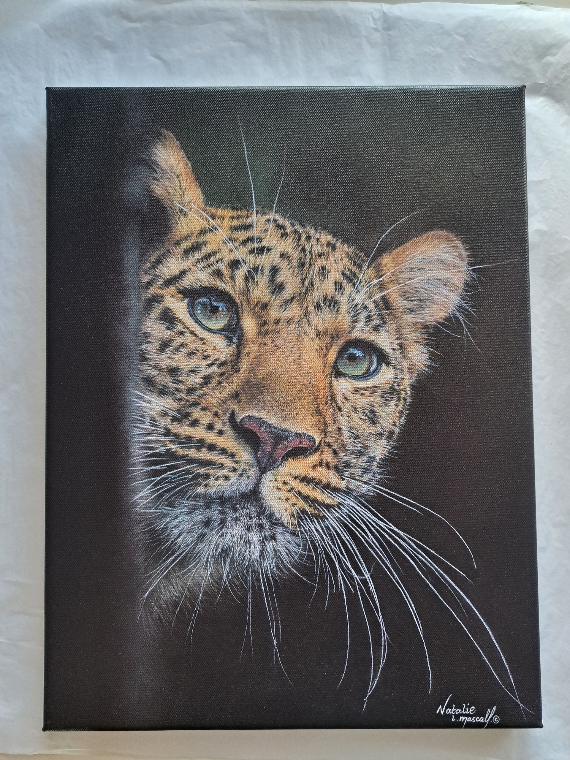 Iberian Lynx art, Iberian Lynx drawing printed to canvas, limited edition Iberian Lynx print, limited edition Iberian Lynx canvas print, only 50, rare cat art,