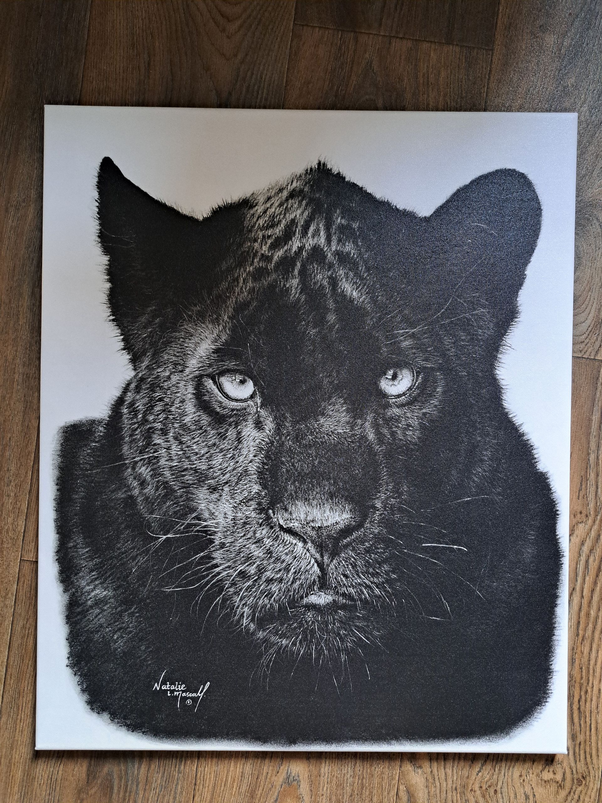 tiger cub, tiger art, tiger drawing from Tom Jones image, award winning artist, new prints,