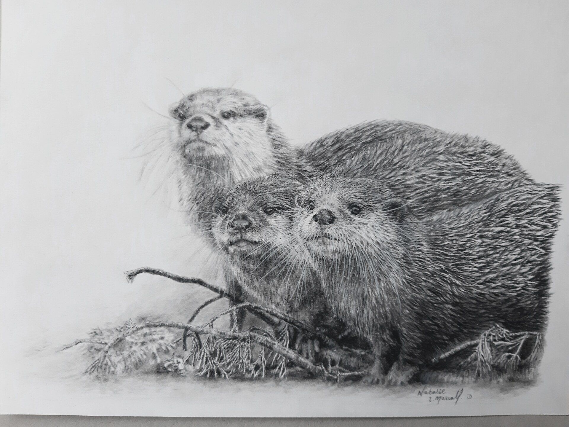 #afpd2021 , autumn exhibition, AFPD autumn exhibition, artists for painted dogs, art for wildlife, donated art for hearts, #anonartproject the anonymous haert project, online auction for heart research uk,
