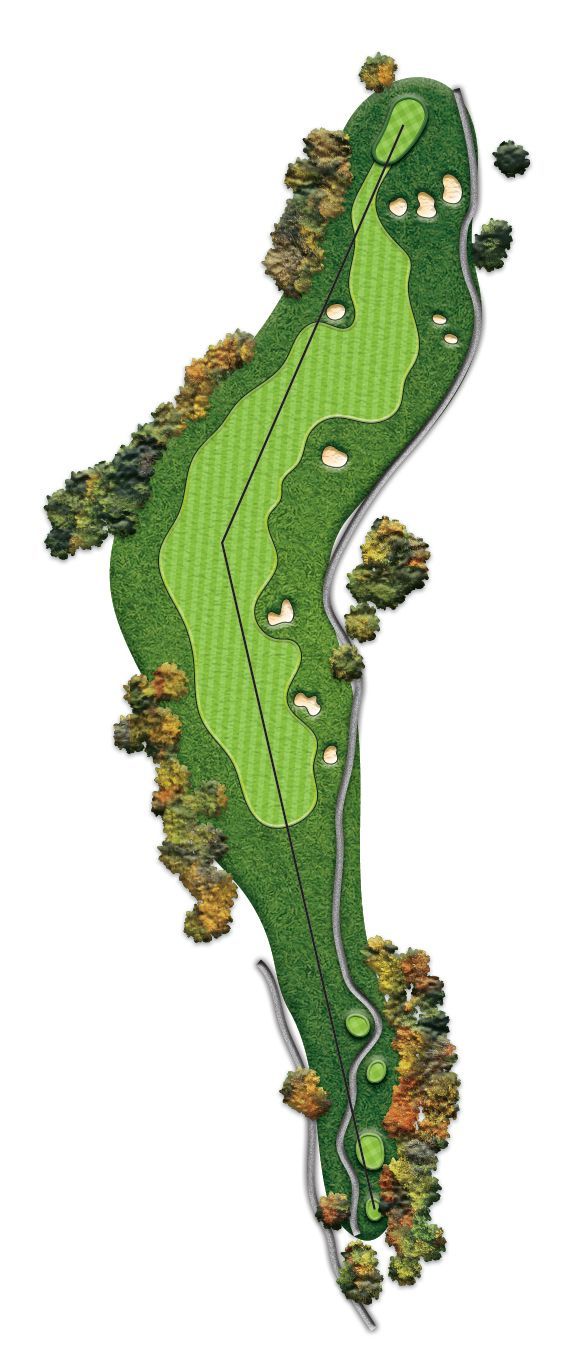 A picture of a golf course with trees and a road.