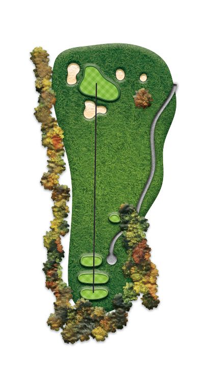 A picture of a golf course with trees and a road.