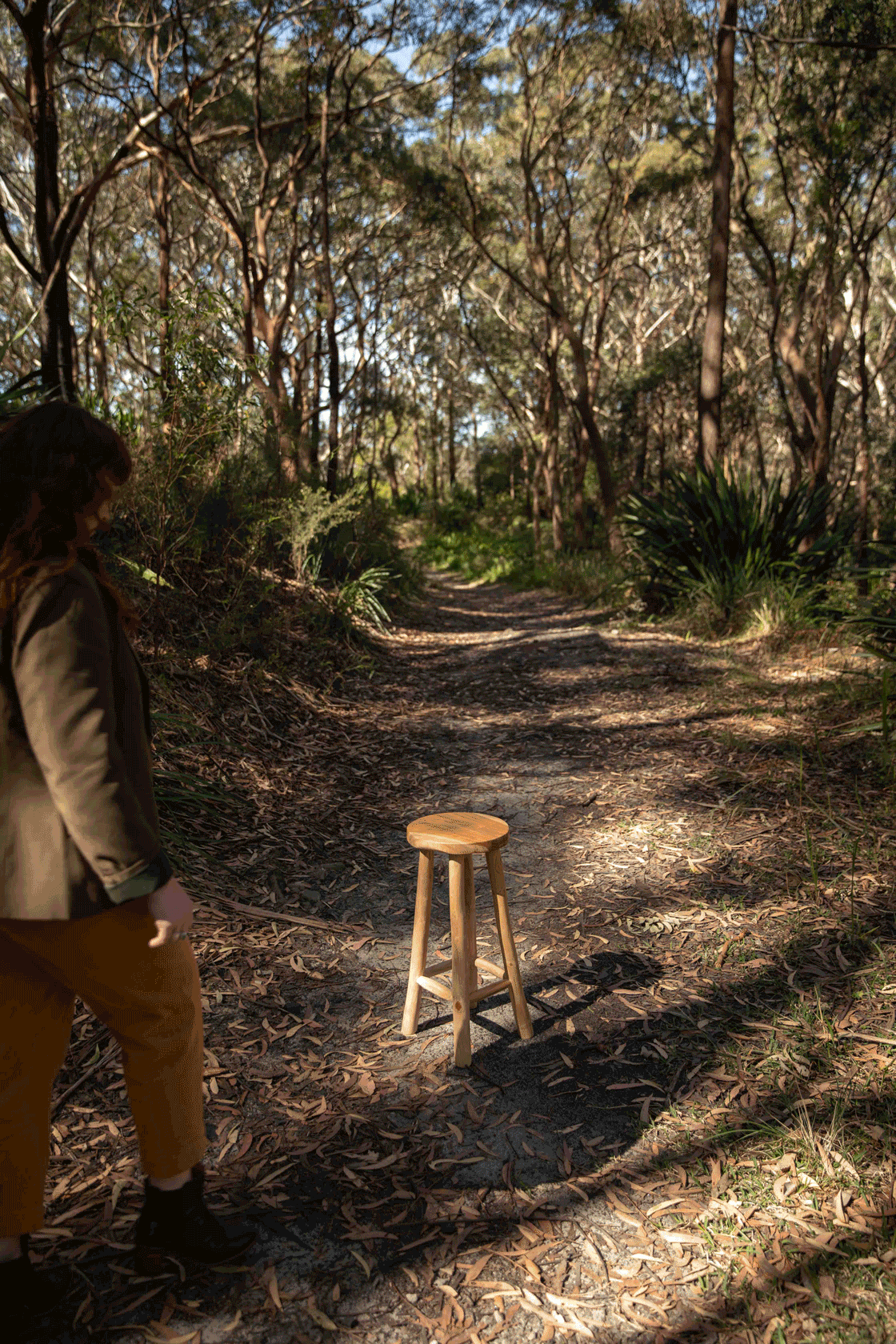 Wooded Trail With A Wooden Stool In Sunlight — Everyday Interiors in Helensburgh, NSW