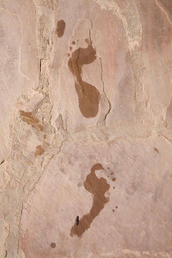 Wet Footprints On A Light Beige Stone Surface — Everyday Interiors in Helensburgh, NSW