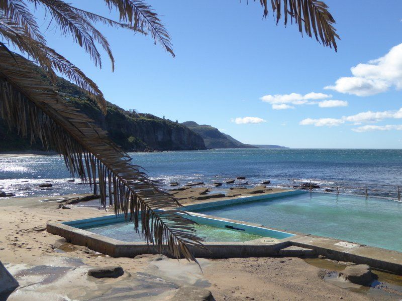 Tropical Beach With Palm Fronds, Rocky Shore, And A Seaside Pool — Everyday Interiors in Helensburgh, NSW