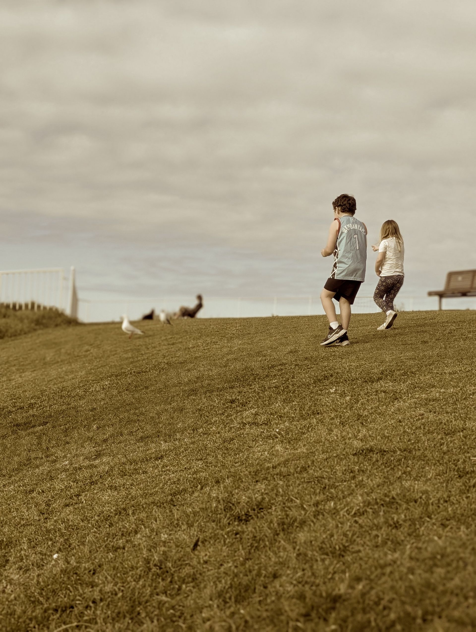 Two People Walking On A Grassy Hill Under A Cloudy Sky — Everyday Interiors in Helensburgh, NSW