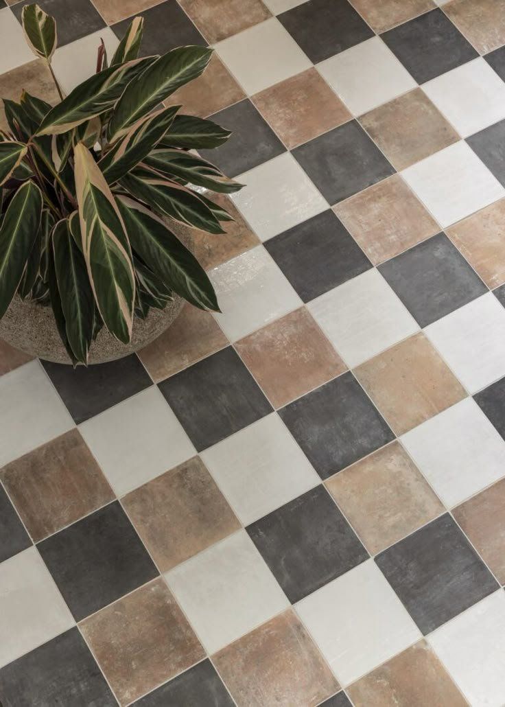 Checkerboard Tile Floor With A Potted Green Plant In The Corner — Everyday Interiors in Helensburgh, NSW