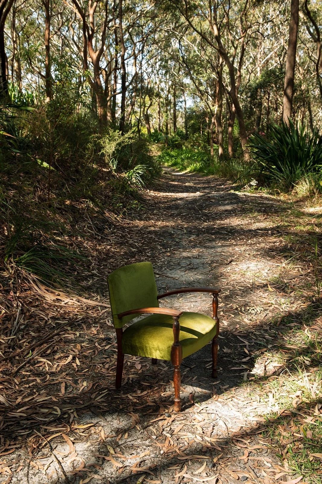 Green Chair On A Sunlit Forest Path With Trees — Everyday Interiors in Helensburgh, NSW