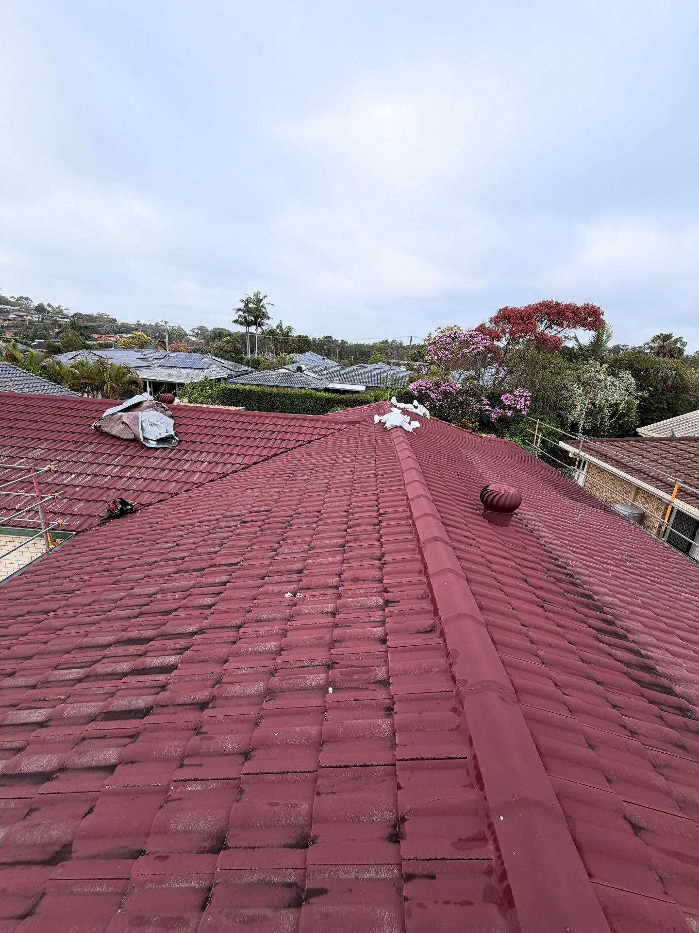 Roof Repairs Ballina Restored Tiled Roof Ridge Capping — Premier Roofing Solutions In Ballina, NSW