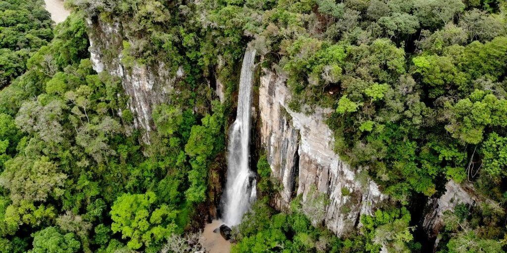 Cachoeira que despenca de um penhasco rochoso, cercada por uma exuberante floresta verde.