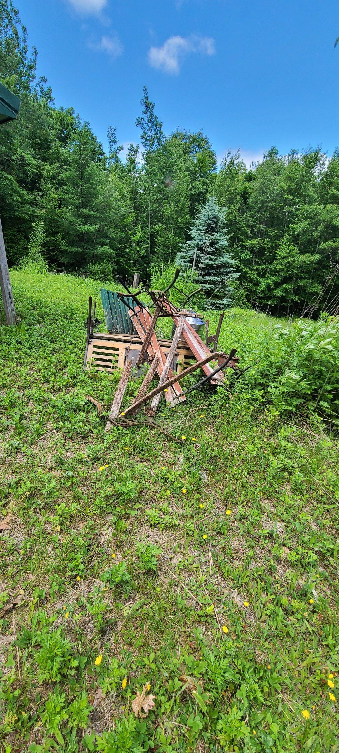 Rusty lawn mower in tall grass beside trees under a bright blue sky.
