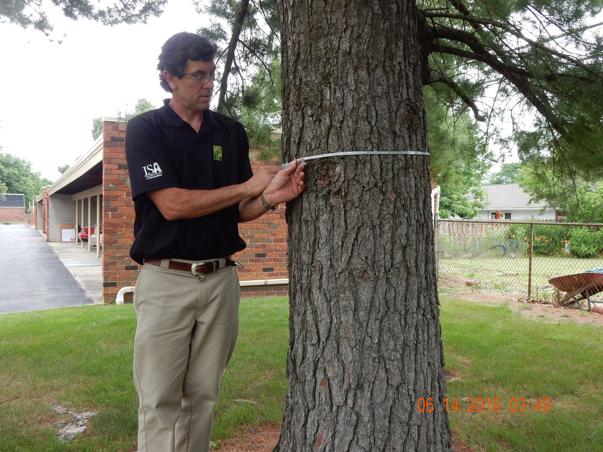 Kennedy's Arboriculture