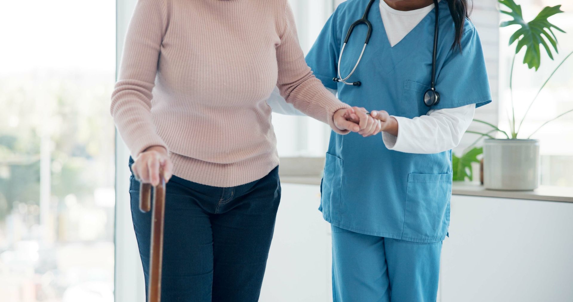 Senior Assistance