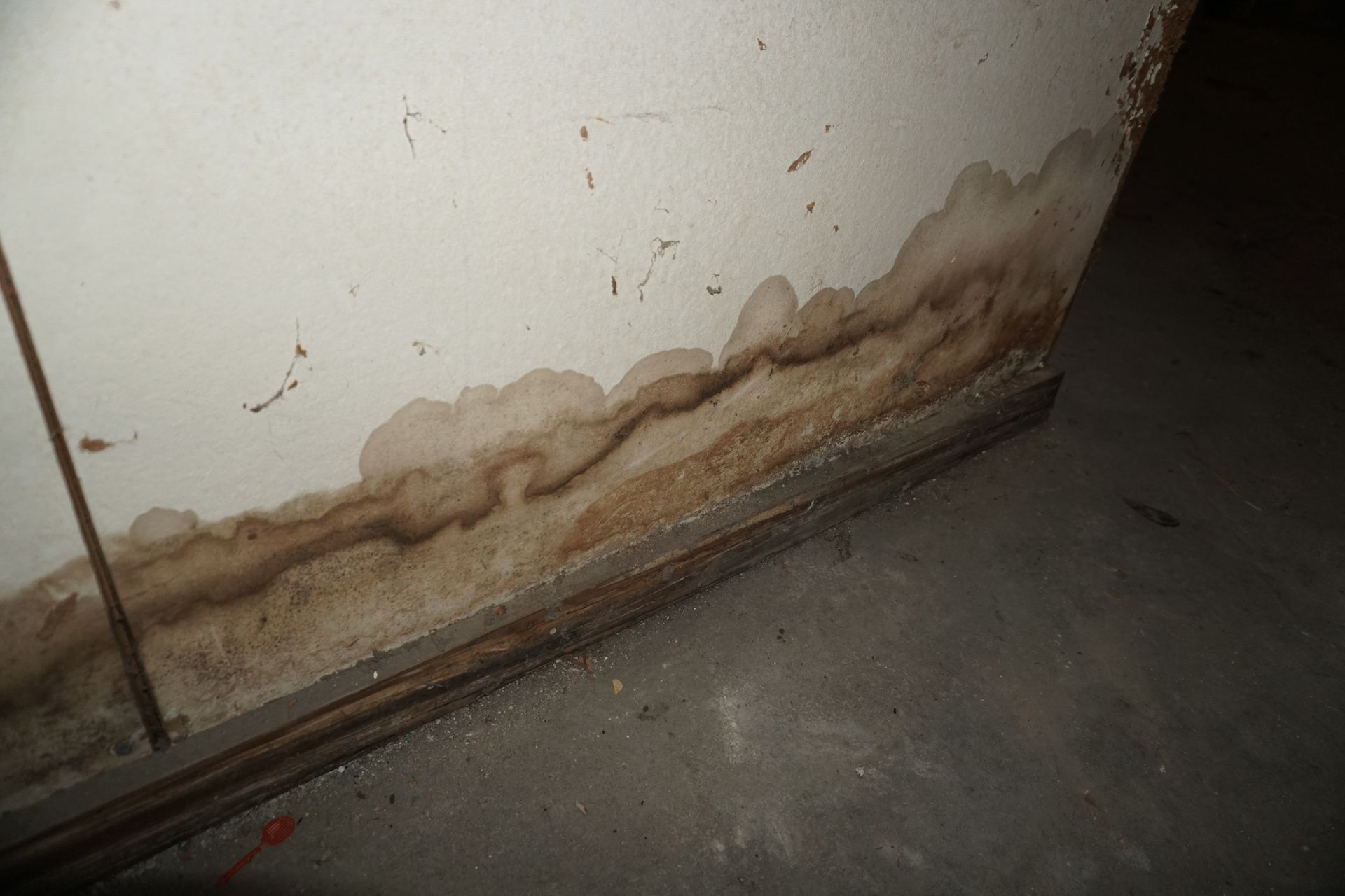 A White Wall With A Brown Stain On It | El Centro, CA | IV Termite & Pest Control Inc.