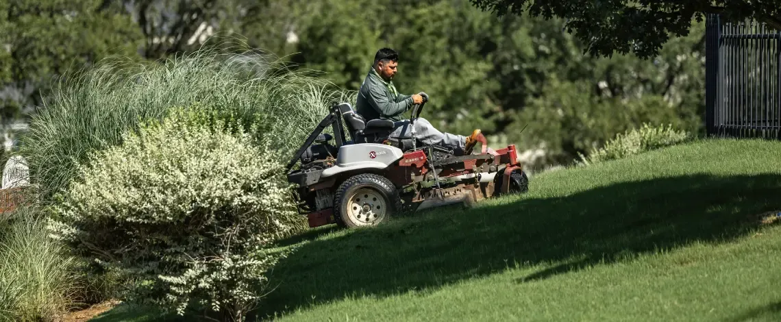 Forget the Bag When You Mow! Grass Clippings Should Be Left on Your Lawn