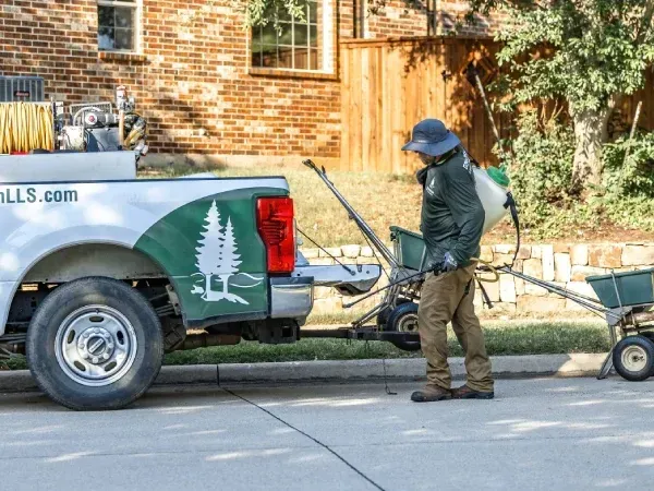 Armyworm lawn pest control service in Argyle TX eliminating damaging caterpillars and protecting healthy grass growth