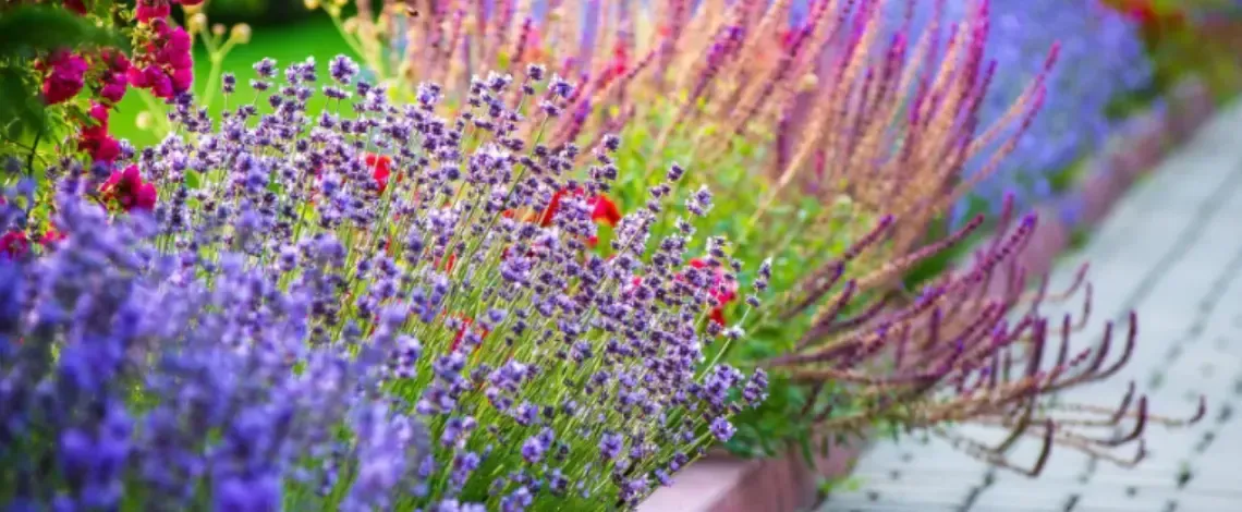 4 Eye-Catching Plants to Add to Your Landscape Beds That'll Thrive in Texas