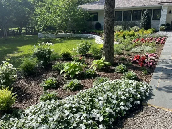 Colorful annual flower installation in Argyle TX enhancing landscapes with vibrant seasonal blooms and garden accents