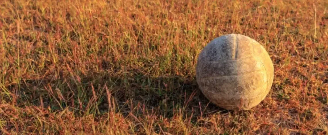 Top Fungus Issues for North Texas and How to Spot Them