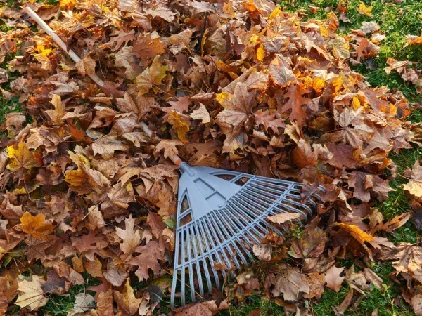 landscape cleanup service in Argyle TX removing leaves debris and seasonal buildup from outdoor spaces